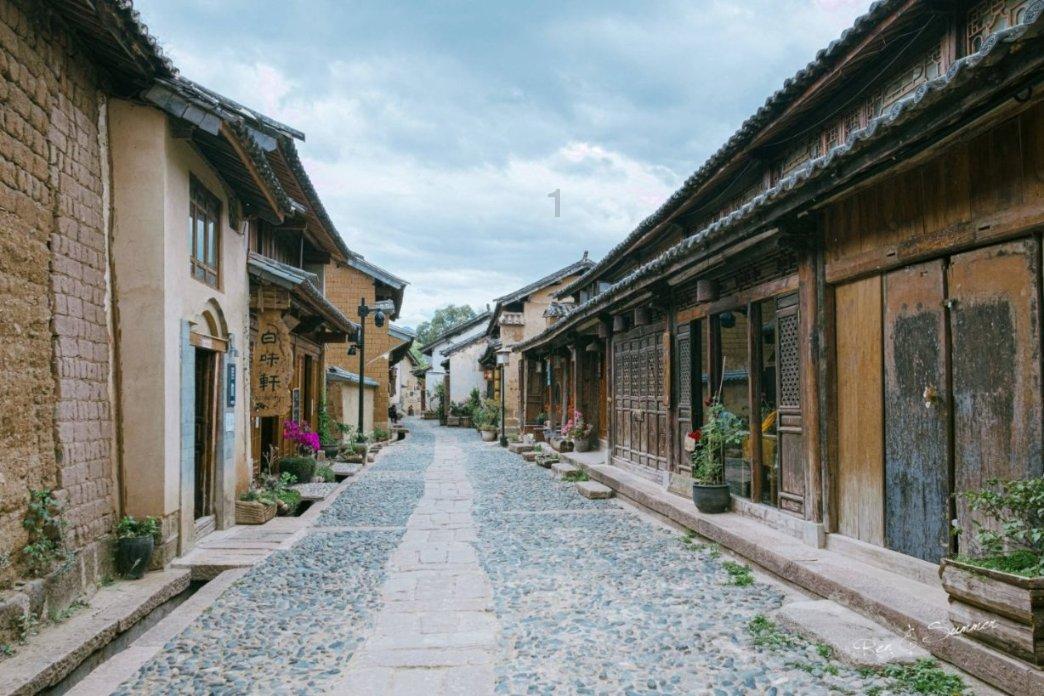 小鸡要回家
